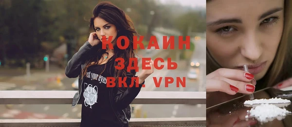твердый Козловка
