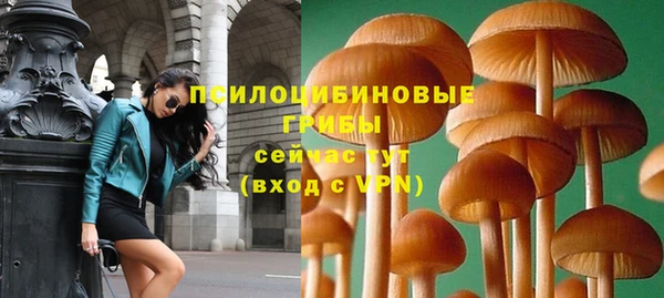 твердый Козловка